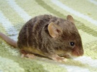 /album/vrhy-fotecky/vrhy/